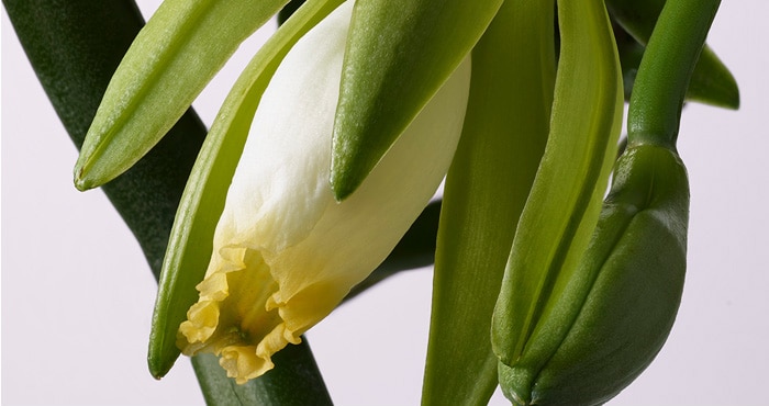 Magasiner la mousse épaississante invati ultra advanced